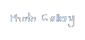 Photo Gallery